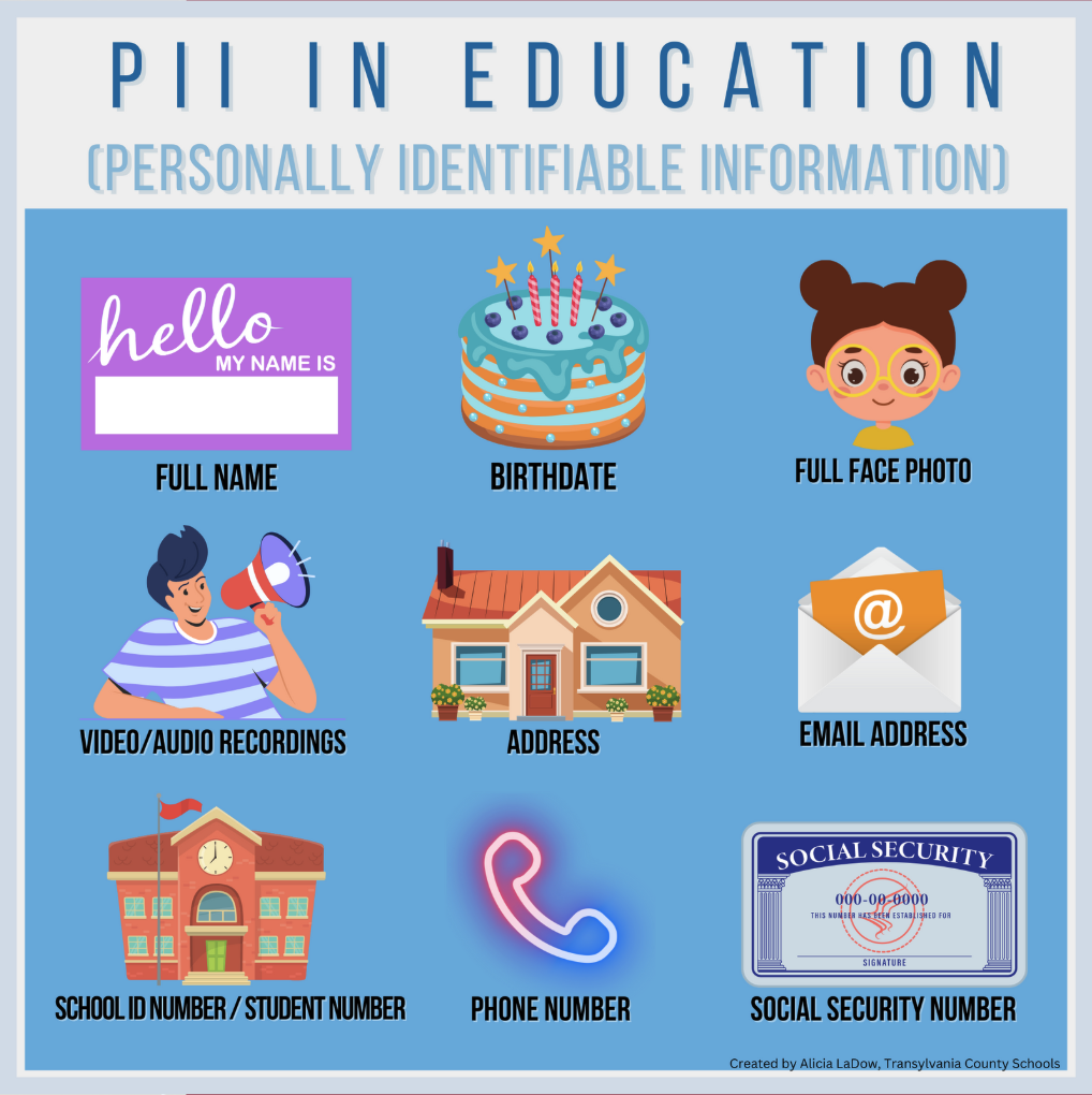 Personally Idenfiable Information Examples